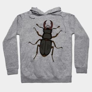 Stag beetle insect illustration Hoodie